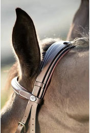 Produktbild von Zaumzeug Reiten HFI Technical