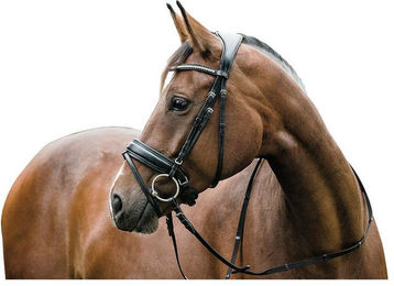 Produktbild von Zaumzeug Reiten HorseGuard Ergo