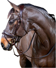 Produktbild von Zaumzeug Reiten HorseGuard Ergo