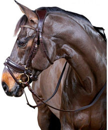 Produktbild von Zaumzeug Reiten HorseGuard Ergo