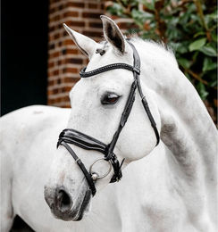 Produktbild von Zaumzeug Reiten Horseware Diamante Flash