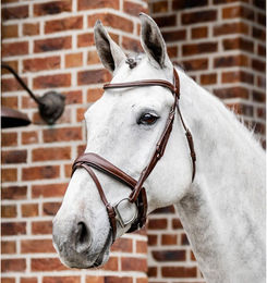 Produktbild von Zaumzeug Reiten Horseware Dressage Flash