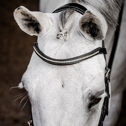 Produktbild von Zaumzeug Reiten Horseware Micklem Diamante