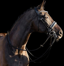 Produktbild von Zaumzeug Reiten HV Polo Legacy deluxe