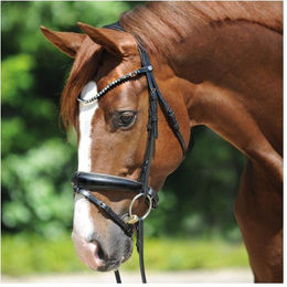 Zaumzeug Reiten Kavalkade Grey – Bild 1 von 2