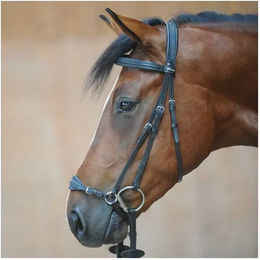 Zaumzeug Reiten Kavalkade Levana – Bild 1 von 2