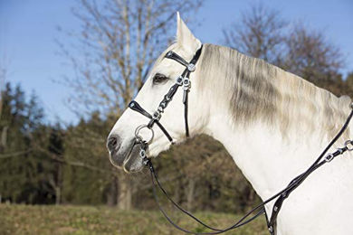 Zaumzeug Reiten Kieffer Isabella with leather reins – Bild 1 von 13