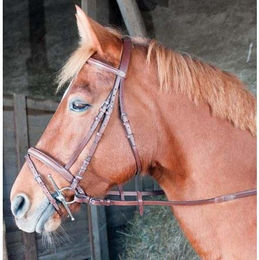 Produktbild von Zaumzeug Reiten kombiniert T de T Sisley