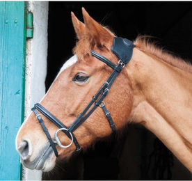 Produktbild von Zaumzeug Reiten mit Brücke T de T Vargas