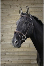 Zaumzeug Reiten Norton Pro Fin – Bild 1 von 2