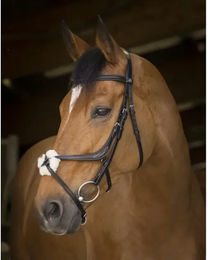 Produktbild von Zaumzeug Reiten Norton Pro Muserole croisée