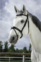 Produktbild von Zaumzeug Reiten Norton Pro Soft