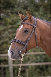 Produktbild von Zaumzeug Reiten Penelope Elégance