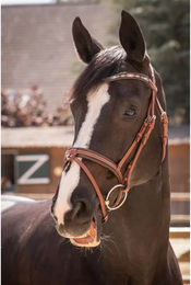 Produktbild von Zaumzeug Reiten Penelope Smoothie Pearl