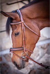 Produktbild von Zaumzeug Reiten Pénélope US