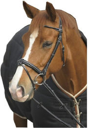 Produktbild von Zaumzeug Reiten Sattlerstich Pénélope