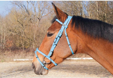 Produktbild von Zaumzeug Reiten T de T Biotack®