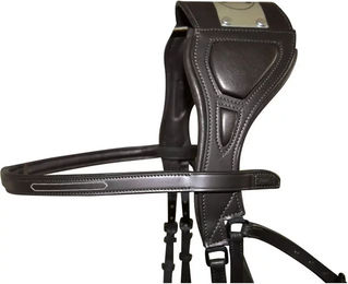 Produktbild von Zaumzeug Reiten T de T Chagall