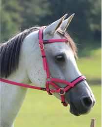 Produktbild von Zaumzeug Reiten T de T Sidepull Biotack®