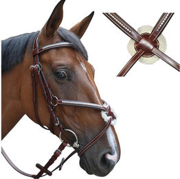 Produktbild von Zaumzeug Reiten tucson gekreuzt Lexington