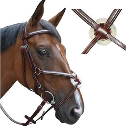 Produktbild von Zaumzeug Reiten tucson gekreuzt Lexington