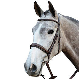 Zaumzeug Reiten Weatherbeeta Collegiate Mono Crown – Bild 1 von 2