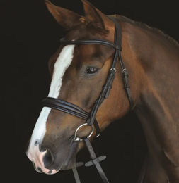 Produktbild von Zaumzeug Reiten Weatherbeeta Collegiate Mono Crown