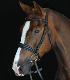 Produktbild von Zaumzeug Reiten Weatherbeeta Collegiate Mono Crown