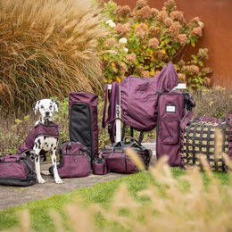 Produktbild von Zaumzeugbeutel QHP