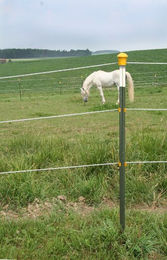 Zaunpfahl aus Metall Kerbl T-Post – Bild 1 von 2