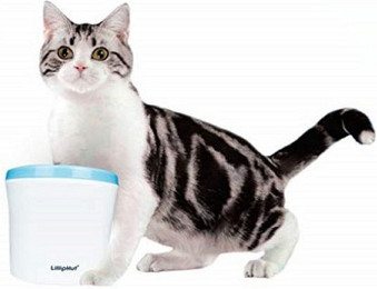 Produktbild von Zedelmaier Trinkbrunnen für Katze und Hund mit Kohlefilter - 2 l