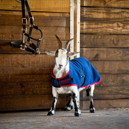 Produktbild von Ziege Mantel Horseware