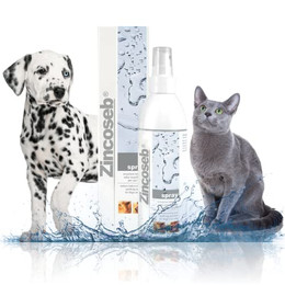 Produktbild von Zincoseb Spray 200 ml - 200 ml