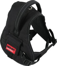 Produktbild von Zolux Moov Verstellbares Hundegeschirr schwarz