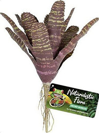 Produktbild von Zoo Med Naturalistic Flora Chestnut Bromeliad Dekopflanze Vriesea fosterian