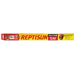 Produktbild von Zoo Med ReptiSun 10.0 T5 UVB Lampe 24 W - 1 Stk.