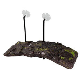 Produktbild von Zoo Med Turtle Dock Small Schwimminsel für Wasserschildkröten