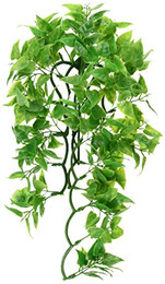 Produktbild von ZooMed Mexican Phyllo Kunststoffpflanze M - 1 Stk.