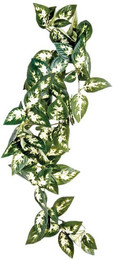 Produktbild von Zubehör für Aquarien Komodo Borneo Hanging Vine