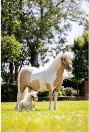 Produktbild von Zubehör für Hobby Horse LeMieux Lemon