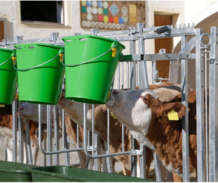 Zubehör Futtertrog Trennwand verzinkt Kerbl (x2) – Bild 1 von 2