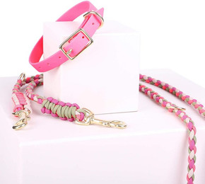 Produktbild von Zubehör Halsband Leinen Set Biothane Pink für Hunde