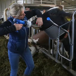 Zubehör Rinder Kopfheber Vink – Bild 1 von 5