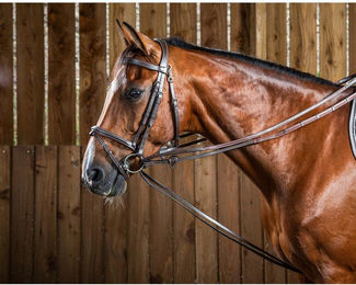 Produktbild von Zügel 1/2 Leder für Pferde Dy'on Hunter