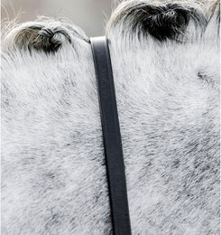 Produktbild von Zügel für Pferd Horseware