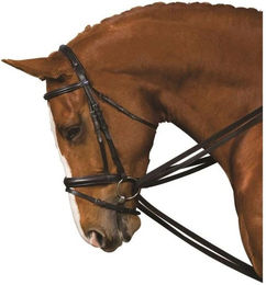 Produktbild von Zügel für Pferd Kincade Web Draw