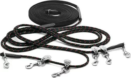 Produktbild von Zügel für Pferd mit Clips Lexhis