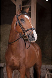 Produktbild von Zügel für Pferde Norton Pro Supergrip