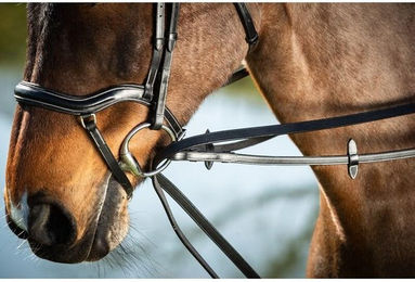 Produktbild von Zügel HFI