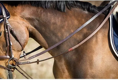 Produktbild von Zügel HFI